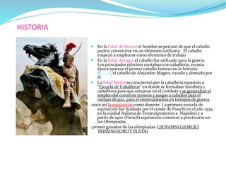 HISTORIA
 En la Edad de bronce el hombre se percató de que el caballo
podría convertirse en un elemento utilitario . El c...