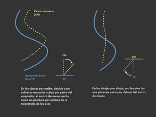 Trayectoria de los
pies (TP)
Centro de masas
(CM)
TP
CM
En los virajes por arriba, debido a un
esfuerzo muscular activo por parte del
esquiador, el centro de masas oscila
como un péndulo por encima de la
trayectoria de los pies
TP
CM
En los virajes por abajo, son los pies los
que parecen pasar por debajo del centro
de masas
 
