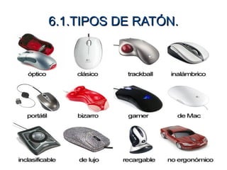 6.1.TIPOS DE RATÓN.
 