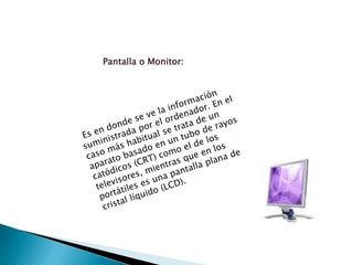 Pantalla o Monitor: 
 