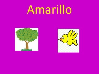 Amarillo 