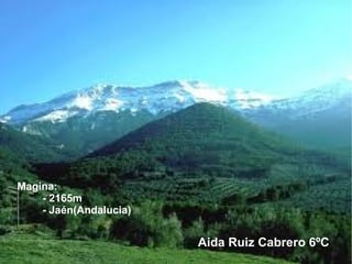 Magina:
    - 2165m
    - Jaén(Andalucia)


                        Aida Ruiz Cabrero 6ºC
 