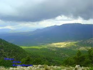 Obispo:
    - 2014m
    - Murcia(Murcia)
 