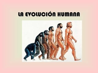 LA EVOLUCIÓN HUMANA 