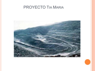 PROYECTO TiaMaria