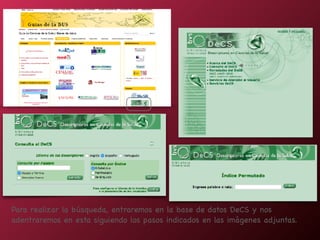 Para realizar la búsqueda, entraremos en la base de datos DeCS y nos
adentraremos en esta siguiendo los pasos indicados en las imágenes adjuntas.
 