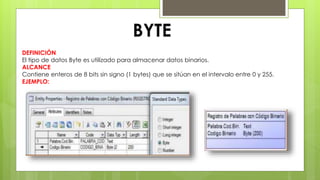 Byte 255 Tipo de variables de PowerDesigner | PPTX