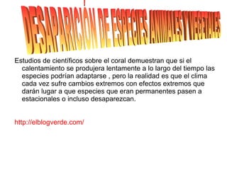 El calentamiento global es uno de los efectos que más repercusiones está dando a la tierra. 