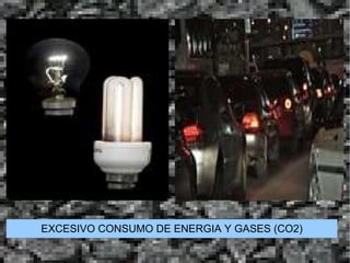 - Masiva destrucción de bosques y praderas. 