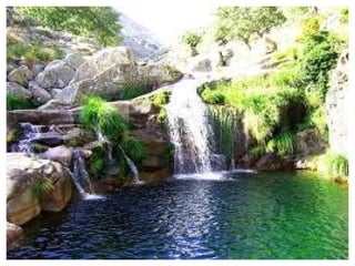 Una de las consecuencias significativas del calentamiento global es el deshielo de los glaciares que elevará significativamente el nivel de los océanos. 