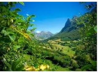 Es tan preocupante este tema,que están recubriendo a los glaciares con lonas para interrumpir el deshielo 