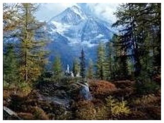 Este desorden, desequilibrio que se está produciendo en el planeta es el culpable de que se produzcan catástrofes naturales (tormentas,tornados,inundaciones e incendios 