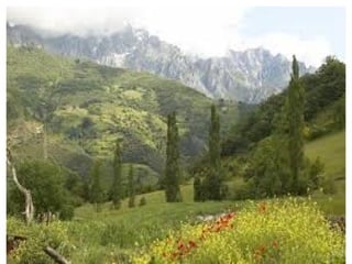 Estudios de científicos sobre el coral demuestran que si el calentamiento se produjera lentamente a lo largo del tiempo las especies podrían adaptarse , pero la realidad es que el clima cada vez sufre cambios extremos con efectos extremos que darán lugar a que especies que eran permanentes pasen a estacionales o incluso desaparezcan. 