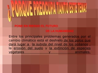 OBJETIVOS DIDÁCTICOS: 