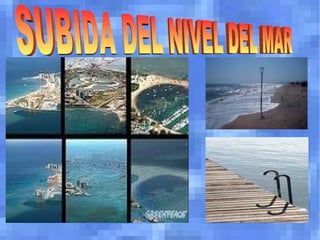 Uno de los mayores problemas que se está produciendo en la Tierra es el Calentamiento Global o Cambio Climático. 