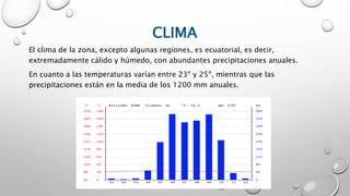 CLIMA
El clima de la zona, excepto algunas regiones, es ecuatorial, es decir,
extremadamente cálido y húmedo, con abundantes precipitaciones anuales.
En cuanto a las temperaturas varían entre 23º y 25º, mientras que las
precipitaciones están en la media de los 1200 mm anuales.
 