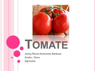 TOMATE
Jenny Rocio Amorocho Barbosa
Grado : Once
Agrícolas
 