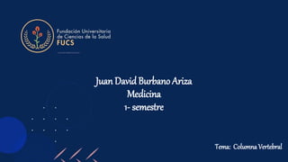 Juan David Burbano Ariza
Medicina
1- semestre
Tema: Columna Vertebral
 
