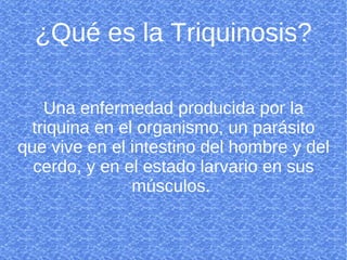 ¿Qué es la Triquinosis? Una enfermedad producida por la triquina en el organismo, un parásito que vive en el intestino del hombre y del cerdo, y en el estado larvario en sus músculos.  