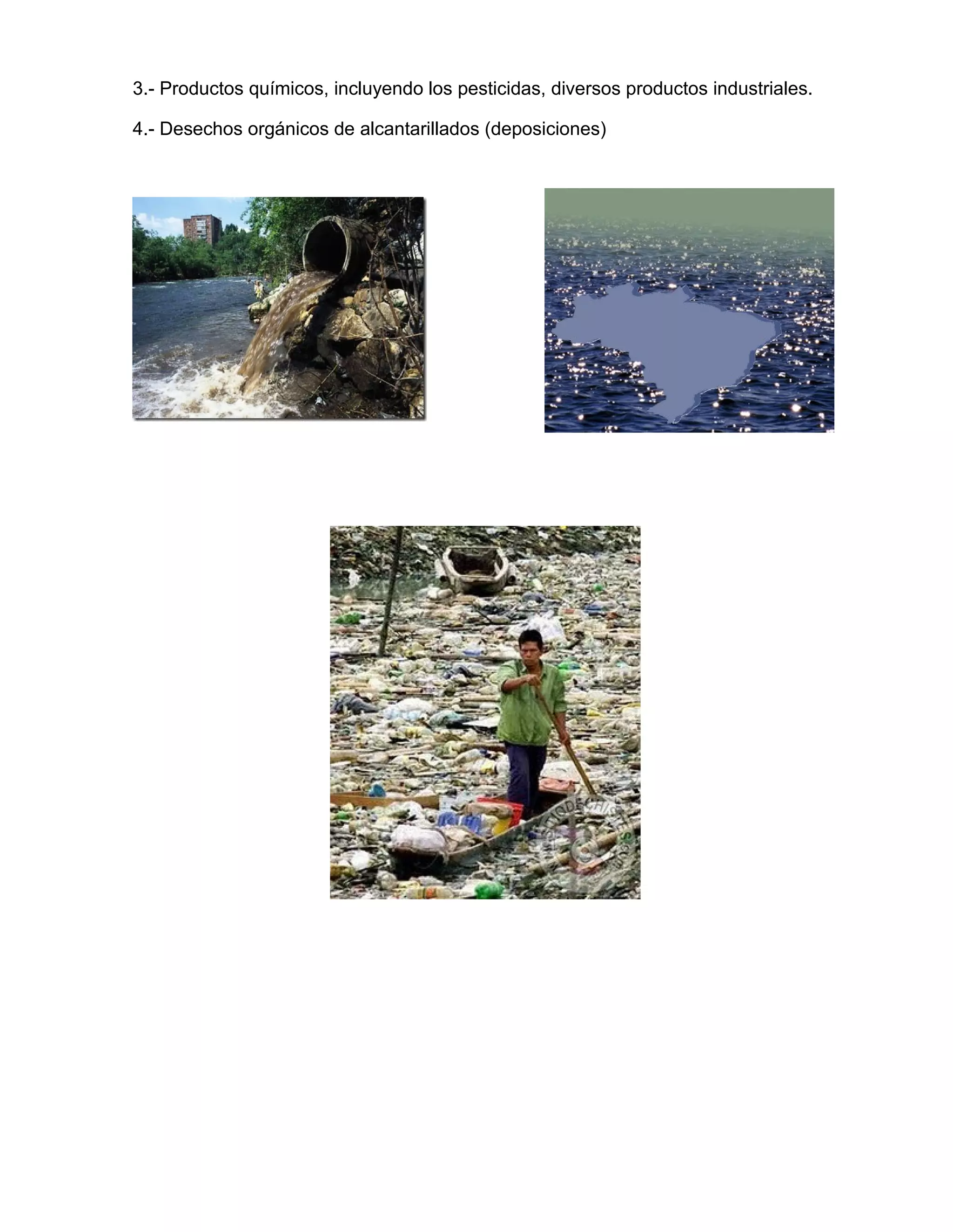 3.- Productos químicos, incluyendo los pesticidas, diversos productos industriales.

4.- Desechos orgánicos de alcantarillados (deposiciones)

Órbita terrestre




Primeros
 