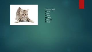 GATO C MIIS
nu miis
a miis
ru miis
qa miis
a miis ta
Ki miis
 