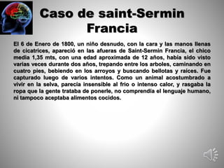 Caso de saint-Sermin 
Francia 
El 6 de Enero de 1800, un niño desnudo, con la cara y las manos llenas 
de cicatrices, apareció en las afueras de Saint-Sermin Francia, el chico 
media 1,35 mts, con una edad aproximada de 12 años, había sido visto 
varias veces durante dos años, trepando entre los arboles, caminando en 
cuatro pies, bebiendo en los arroyos y buscando bellotas y raíces. Fue 
capturado luego de varios intentos. Como un animal acostumbrado a 
vivir en la selva, parecía insensible al frio o intenso calor, y rasgaba la 
ropa que la gente trataba de ponerle, no comprendía el lenguaje humano, 
ni tampoco aceptaba alimentos cocidos. 
 