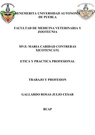 BENEMERITA UNIVERSIDAD AUTONOMA
           DE PUEBLA


FACULTAD DE MEDICINA VETERINARIA Y
            ZOOTECNIA



  MVZ: MARIA CARIDAD CONTRERAS
          XICOTENCATL


   ETICA Y PRACTICA PROFESIONAL




       TRABAJO Y PROFESION



   GALLARDO ROSAS JULIO CESAR



              BUAP
 