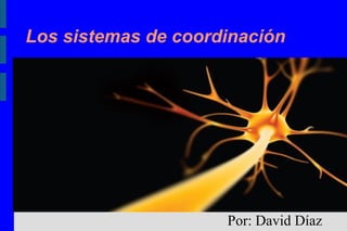 Los sistemas de coordinación Por: David Díaz 