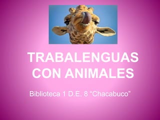 TRABALENGUAS
CON ANIMALES
Biblioteca 1 D.E. 8 “Chacabuco”
 