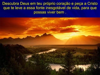 Descubra Deus em teu próprio coração e peça a Cristo que te leve a essa fonte inesgotável de vida, para que possas viver bem . 