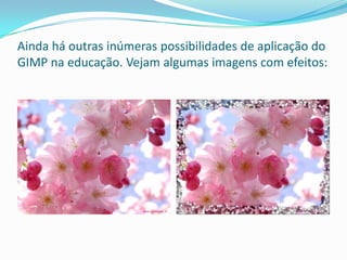 Ainda há outras inúmeras possibilidades de aplicação do
GIMP na educação. Vejam algumas imagens com efeitos:
 