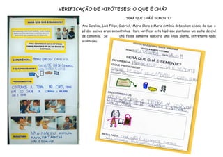 VERIFICAÇÃO DE HIPÓTESES: O QUE É CHÁ?
                                     SERÁ QUE CHÁ É SEMENTE?

        Ana Carolina, Luis Filipe, Gabriel, Maria Clara e Maria Antônia defendiam a ideia de que o
        pó dos saches eram sementinhas. Para verificar esta hipótese plantamos um sache de chá
        de camomila. Se          chá fosse semente nasceria uma linda planta, entretanto nada
        aconteceu.
 
