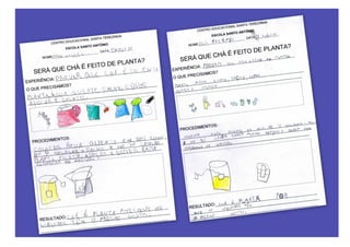 Trabalhando um projeto