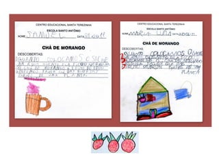 Trabalhando um projeto
