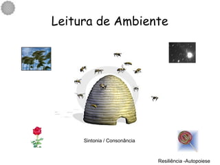 Leitura de Ambiente Resiliência -Autopoiese Sintonia / Consonância 
