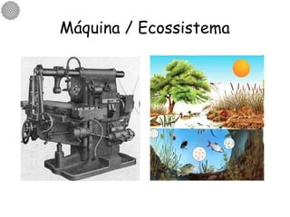 Máquina / Ecossistema 