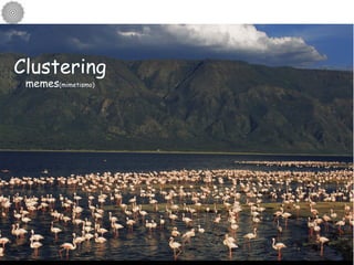 Clustering memes (mimetismo) 