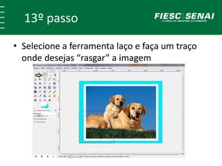 13º passo 
• Selecione a ferramenta laço e faça um traço 
onde desejas “rasgar” a imagem 
 