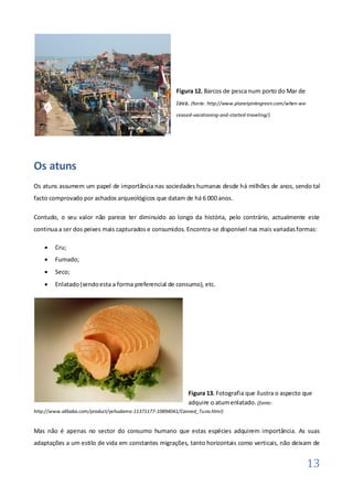 Figura 12. Barcos de pesca num porto do Mar de
                                                        Java. (fonte: http://www.planetpinkngreen.com/when-we-
                                                        ceased-vacationing-and-started-traveling/)




Os atuns
Os atuns assumem um papel de importância nas sociedades humanas desde há milhões de anos, sendo tal
facto comprovado por achados arqueológicos que datam de há 6 000 anos.

Contudo, o seu valor não parece ter diminuido ao longo da história, pelo contrário, actualmente este
continua a ser dos peixes mais capturados e consumidos. Encontra-se disponível nas mais variadas formas:

       Cru;
       Fumado;
       Seco;
       Enlatado (sendo esta a forma preferencial de consumo), etc.




                                                             Figura 13. Fotografia que ilustra o aspecto que
                                                             adquire o atum enlatado. (fonte:
http://www.alibaba.com/product/yehudama-11371177-10894041/Canned_Tuna.html)


Mas não é apenas no sector do consumo humano que estas espécies adquirem importância. As suas
adaptações a um estilo de vida em constantes migrações, tanto horizontais como verticais, não deixam de


                                                                                                                 13
 