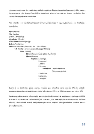 nos surpreender. A par dos espadins e espadartes, os atuns são os únicos peixes ósseos conhecidos capazes
de conservar o calor interno (metabólico), associando a função muscular ao sistema circulatório. Esta
capacidade designa-se de endotermia.


Para entender o seu papel e lugal na escala evolutiva, encontra-se, de seguida, detalhada a sua classificação
taxonómica.


Reino: Animalia
Filo: Chordata
Classe: Actinopterygii
Infraclasse: Teleostei
Supra ordem: Acanthopterygii
Ordem: Perciformes
Família: Scombridae (constituída por 2 sub-famílias)
        Sub-família: Scombrinae (constituída por 4 tribos)
                Tribo: Thunnini
                        Género: Katsuwonus (espécie: K. pelamis)
                        Género: Thunnus
                                Espécies: T.alalunga
                                          T. maccoyii
                                          T. obesus
                                          T. thynnus
                                                 Subespécie: T. thynnus thynnus
                                                             T. thynnus orientalis
                                          T. albacores
                                          T. atlanticus
                                          T. tonggol




Quanto à sua distribuição pelos oceanos, é sabido que, o Pacífico reúne cerca de 67% das unidades
populacionais de atuns, enquanto que o Índico reúne apenas 21% e, ao Atlântico restam uns meros 12%.

As capturas, são altamente influenciadas por esta distrbuição natural. De acordo com estatísticas de 2000,
é no Pacífico que decorre a sua maioria (cerca de 60%), com a excepção do atum rabilo. Das zonas do
Pacífico, a zona central oeste é a responsável pela maior parte da produção referida, cerca de 30% da
produção mundial.




                                                                                                       14
 