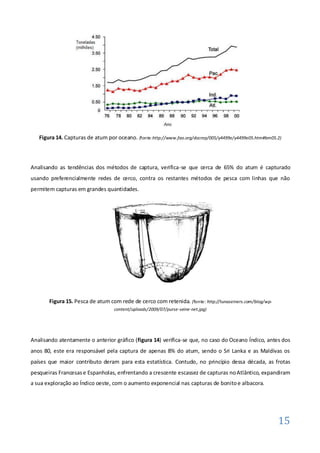 Figura 14. Capturas de atum por oceano. (fonte:http://www.fao.org/docrep/005/y4499e/y4499e05.htm#bm05.2)



Analisando as tendências dos métodos de captura, verifica-se que cerca de 65% do atum é capturado
usando preferencialmente redes de cerco, contra os restantes métodos de pesca com linhas que não
permitem capturas em grandes quantidades.




       Figura 15. Pesca de atum com rede de cerco com retenida. (fonte: http://tunaseiners.com/blog/wp-
                                   content/uploads/2009/07/purse-seine-net.jpg)




Analisando atentamente o anterior gráfico (figura 14) verifica-se que, no caso do Oceano Índico, antes dos
anos 80, este era responsável pela captura de apenas 8% do atum, sendo o Sri Lanka e as Maldivas os
países que maior contributo deram para esta estatística. Contudo, no princípio dessa década, as frotas
pesqueiras Francesas e Espanholas, enfrentando a crescente escassez de capturas no Atlântico, expandiram
a sua exploração ao Índico oeste, com o aumento exponencial nas capturas de bonito e albacora.




                                                                                                          15
 