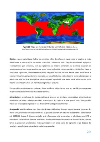 Figura 20. Mapa que marca a distribuição (vermelho) do albacora. (fonte:
                http://www.flmnh.ufl.edu/fish/gallery/Descript/YellowfinTuna/yellowfintunabasemap.JPG)




Habitat: espécie epipelágica, habita os primeiros 100m da coluna de água, onde o oxigénio é mais
abundante e as temperaturas variam dos 18 aos 31ºC. Forma com muita frequência cardumes, agrupados
essencialmente por tamanhos, com os espécimens de maiores dimensões na dianteira. Associam -se
frequentemente com outras espécies de atuns, como os bonitos e atum-patudo, e, no Pacífico chega a
associar-se a golfinhos, comportamento pouco frequente noutros oceanos. Muitas vezes associam-se a
objectos flutuantes, comportamento explicado por várias hipóteses: o objecto serve como substrato para a
postura de ovos, local de remoção de parasitas (pelos organismos que vivem neste substrato) ou pode
mesmo ser visto como mais um indivíduo integrante do cardume.

Em mergulhos profundos estes cardumes têm a tendência a dissociar-se, uma vez que há menos ameaças
de predadores e esta formação deixa de ser benéfica.

Alimentação: à semelhança das outras espécies de atuns, é um predador não selectivo, alimentando-se
geralmente de peixes, cefalópodes (lulas) e crustáceos. Ao capturar as suas presas perto da superfície
indica que esta espécie depende da sua desenvolvida visão para se alimentar.

Reprodução: espécie ovípara, cuja época de desova está limita a 6 meses no ano, durante os meses de
maior calor, diferentes em cada hemisfério. As posturas ocorrem em alto mar e cada fêmea pode libertar
até 6.000.000 óvulos. A desova, contudo, será influenciada pela temperatura e salinidade, com 26ºC a
constituir o limite inferior para que esta ocorra. O desenvolvimento larvar decorre durante 28 dias, com as
larvas a apresentar características muito particulares: um único ponto de pigmento ne gro debaixo do
“queixo” e a ausência de pigmentação na barbatana caudal.


                                                                                                         20
 