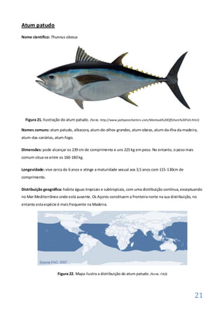 Atum patudo
Nome científico: Thunnus obesus




  Figura 21. Ilustração do atum patudo. (fonte: http://www.pattyanncharters.com/Montauk%20Offshore%20Fish.html)

Nomes comuns: atum patudo, albacora, atum-de-olhos-grandes, atum-obeso, atum-da-ilha-da-madeira,
atum-das-canárias, atum-fogo.

Dimensões: pode alcançar os 239 cm de comprimento e uns 225 kg em peso. No entanto, o peso mais
comum situa-se entre os 160-180 kg.

Longevidade: vive cerca de 6 anos e atinge a maturidade sexual aos 3,5 anos com 115-130cm de
comprimento.

Distribuição geográfica: habita águas tropicais e subtropicais, com uma distribuição contínua, exceptuando
no Mar Mediterrâneo onde está ausente. Os Açores constituem a fronteira norte na sua distribuição, no
entanto esta espécie é mais frequente na Madeira.




                      Figura 22. Mapa ilustra a distribuição do atum patudo. (fonte: FAO)




                                                                                                            21
 