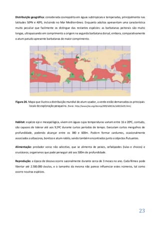 Distribuição geográfica: considerada cosmopolita em águas subtropicais e temperadas, principalmente nas
latitudes 50ºN e 40ºS, incluindo no Mar Mediterrâneo. Enquanto adultos apresentam uma característica
muito peculiar que facilmente os distingue das restantes espécies: as barbatanas peitorais são muito
longas, ultrapassando em comprimento a origem na segunda barbatana dorsal, embora, comparativamente
o atum patudo apresente barbatanas de maior comprimento.




Figura 24. Mapa que ilustra a distribuição mundial do atum voador, a verde estão demarcados os principais
           locais de exploração pesqueira. (fonte: http://www.fao.org/docrep/009/a0653e/a0653e05.htm)




Habitat: espécie epi e mesopelágica, vivem em águas cujas temperaturas variam entre 16 e 20ºC, contudo,
são capazes de tolerar até aos 9,5ºC durante curtos períodos de tempo. Executam curtos mergulhos de
profundidade, podendo alcançar entre os 380 e 600m. Pode m formar cardumes, ocasionalmente
associados a albacoras, bonitos e atum-rabilo, sendo também encontrados junto a objectos flutuantes.

Alimentação: predador voraz não selectivo, que se alimenta de peixes, cefalópodes (lulas e chocos) e
crustáceos; organismos que pode perseguir até aos 500m de profundidade.

Reprodução: a época de desova ocorre sazonalmente durante cerca de 3 meses no ano. Cada fêmea pode
libertar até 2.500.000 óvulos, e o tamanho da mesma não parece influenciar estes números, tal como
ocorre noutras espécies.




                                                                                                       23
 