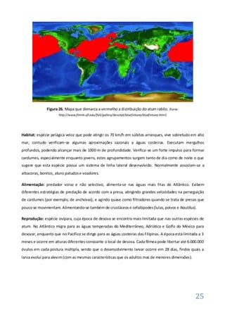 Figura 26. Mapa que demarca a vermelho a distribuição do atum rabilo. (fonte:
                      http://www.flmnh.ufl.edu/fish/gallery/descript/bluefintuna/bluefintuna.html)




Habitat: espécie pelágica veloz que pode atingir os 70 km/h em súbitos arranques, vive sobretudo em alto
mar, contudo verificam-se algumas aproximações sazonais a águas costeiras. Executam mergulhos
profundos, podendo alcançar mais de 1000 m de profundidade. Verifica-se um forte impulso para formar
cardumes, especialmente enquanto jovens, estes agrupamentos surgem tanto de dia como de noite o que
sugere que esta espécie possui um sistema de linha lateral desenvolvido. Normalmente associam-se a
albacoras, bonitos, atuns patudos e voadores.

Alimentação: predador voraz e não selectivo, alimenta-se nas águas mais frias do Atlântico. Exibem
diferentes estratégias de predação de acordo com a presa, atingindo grandes velocidades na perseguição
de cardumes (por exemplo, de anchovas), e agindo quase como filtradores quando se trata de presas que
pouco se movimentam. Alimentando-se também de crustáceos e cefalópodes (lulas, polvos e Nautilus).

Reprodução: espécie ovípara, cuja época de desova se encontra mais limitada que nas outras espécies de
atum. No Atlântico migra para as águas temperadas do Mediterrâneo, Adriático e Golfo do México para
desovar, enquanto que no Pacífico se dirige para as águas costeiras das Filipinas. A época está limitada a 3
meses e ocorre em alturas diferentes consoante o local de desova. Cada fêmea pode libertar até 6.000.000
óvulos em cada postura múltipla, sendo que o desenvolvimento larvar ocorre em 28 dias, findos quais a
larva evolui para alevim (com as mesmas características que os adultos mas de menores dimensões).




                                                                                                       25
 