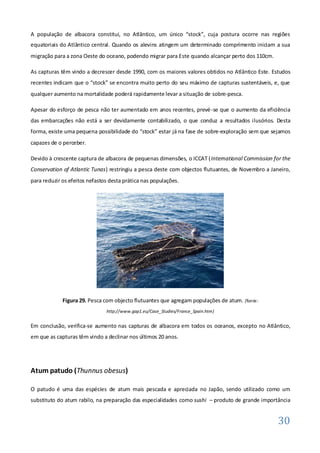 A população de albacora constitui, no Atlântico, um único “stock”, cuja postura ocorre nas regiões
equatoriais do Atlântico central. Quando os alevins atingem um determinado comprimento iniciam a sua
migração para a zona Oeste do oceano, podendo migrar para Este quando alcançar perto dos 110cm.

As capturas têm vindo a decrescer desde 1990, com os maiores valores obtidos no Atlântico Este. Estudos
recentes indicam que o “stock” se encontra muito perto do seu máximo de capturas sustentáveis, e, que
qualquer aumento na mortalidade poderá rapidamente levar a situação de sobre-pesca.

Apesar do esforço de pesca não ter aumentado em anos recentes, prevé -se que o aumento da eficiência
das embarcações não está a ser devidamente contabilizado, o que conduz a resultados ilusórios. Desta
forma, existe uma pequena possibilidade do “stock” estar já na fase de sobre-exploração sem que sejamos
capazes de o perceber.

Devido à crescente captura de albacora de pequenas dimensões, o ICCAT (International Commission for the
Conservation of Atlantic Tunas) restringiu a pesca deste com objectos flutuantes, de Novembro a Janeiro,
para reduzir os efeitos nefastos desta prática nas populações.




             Figura 29. Pesca com objecto flutuantes que agregam populações de atum. (fonte:
                               http://www.gap1.eu/Case_Studies/France_Spain.htm)


Em conclusão, verifica-se aumento nas capturas de albacora em todos os oceanos, excepto no Atlântico,
em que as capturas têm vindo a declinar nos últimos 20 anos.




Atum patudo (Thunnus obesus)

O patudo é uma das espécies de atum mais pescada e apreciada no Japão, sendo utilizado como um
substituto do atum rabilo, na preparação das especialidades como sushi – produto de grande importância


                                                                                                   30
 