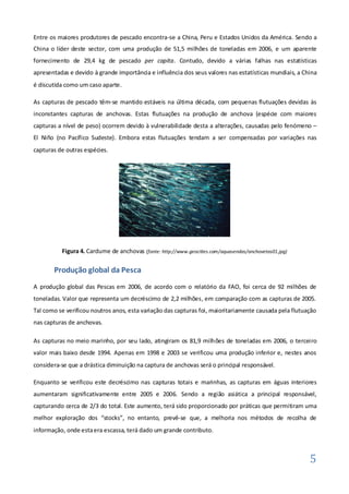 Entre os maiores produtores de pescado encontra-se a China, Peru e Estados Unidos da América. Sendo a
China o líder deste sector, com uma produção de 51,5 milhões de toneladas em 2006, e um aparente
fornecimento de 29,4 kg de pescado per capita. Contudo, devido a várias falhas nas estatísticas
apresentadas e devido à grande importância e influência dos seus valores nas estatísticas mundiais, a China
é discutida como um caso aparte.

As capturas de pescado têm-se mantido estáveis na última década, com pequenas flutuações devidas às
inconstantes capturas de anchovas. Estas flutuações na produção de anchova (espécie com maiores
capturas a nível de peso) ocorrem devido à vulnerabilidade desta a alterações, causadas pelo fenómeno –
El Niño (no Pacífico Sudeste). Embora estas flutuações tendam a ser compensadas por variações nas
capturas de outras espécies.




          Figura 4. Cardume de anchovas (fonte: http://www.geocities.com/aquasendas/anchovetas01.jpg)

       Produção global da Pesca
A produção global das Pescas em 2006, de acordo com o relatório da FAO, foi cerca de 92 milhões de
toneladas. Valor que representa um decréscimo de 2,2 milhões, em comparação com as capturas de 2005.
Tal como se verificou noutros anos, esta variação das capturas foi, maioritariamente causada pela flutuação
nas capturas de anchovas.

As capturas no meio marinho, por seu lado, atingiram os 81,9 milhões de toneladas em 2006, o terceiro
valor mais baixo desde 1994. Apenas em 1998 e 2003 se verificou uma produção inferior e, nestes anos
considera-se que a drástica diminuição na captura de anchovas será o principal responsável.

Enquanto se verificou este decréscimo nas capturas totais e marinhas, as capturas em águas interiores
aumentaram significativamente entre 2005 e 2006. Sendo a região asiática a principal responsável,
capturando cerca de 2/3 do total. Este aumento, terá sido proporcionado por práticas que permitiram uma
melhor exploração dos “stocks”, no entanto, prevê-se que, a melhoria nos métodos de recolha de
informação, onde esta era escassa, terá dado um grande contributo.



                                                                                                        5
 