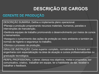 DESCRIÇÃO DE CARGOS