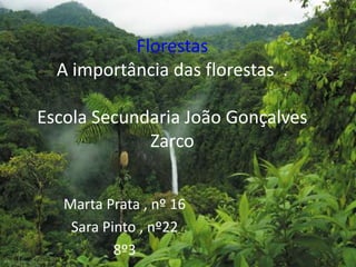 FlorestasA importância das florestas  .Escola Secundaria João Gonçalves Zarco Marta Prata , nº 16 Sara Pinto , nº22 8º3 