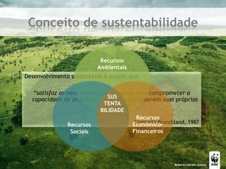 Conceito de sustentabilidadeRecursos AmbientaisDesenvolvimento sustentável é aquele que“satisfaz as necessidades do presente sem comprometer a capacidade de as futuras gerações satisfazerem suas próprias necessidades”Comissão Brundtland, 1987SUSTENTABILIDADERecursosEconômico-FinanceirosRecursosSociais